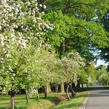 Am Storchennest Damnatz