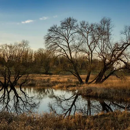 Daire Am Storchennest *