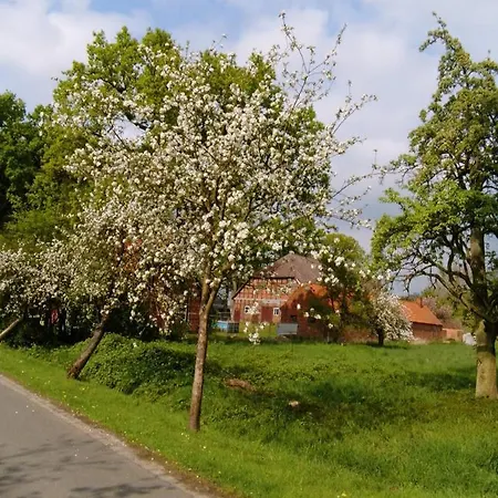 Daire Am Storchennest