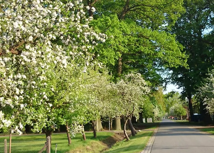 Am Storchennest Damnatz