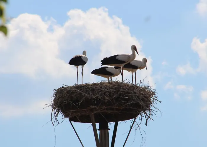 公寓 Am Storchennest Damnatz