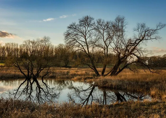 公寓 Am Storchennest *